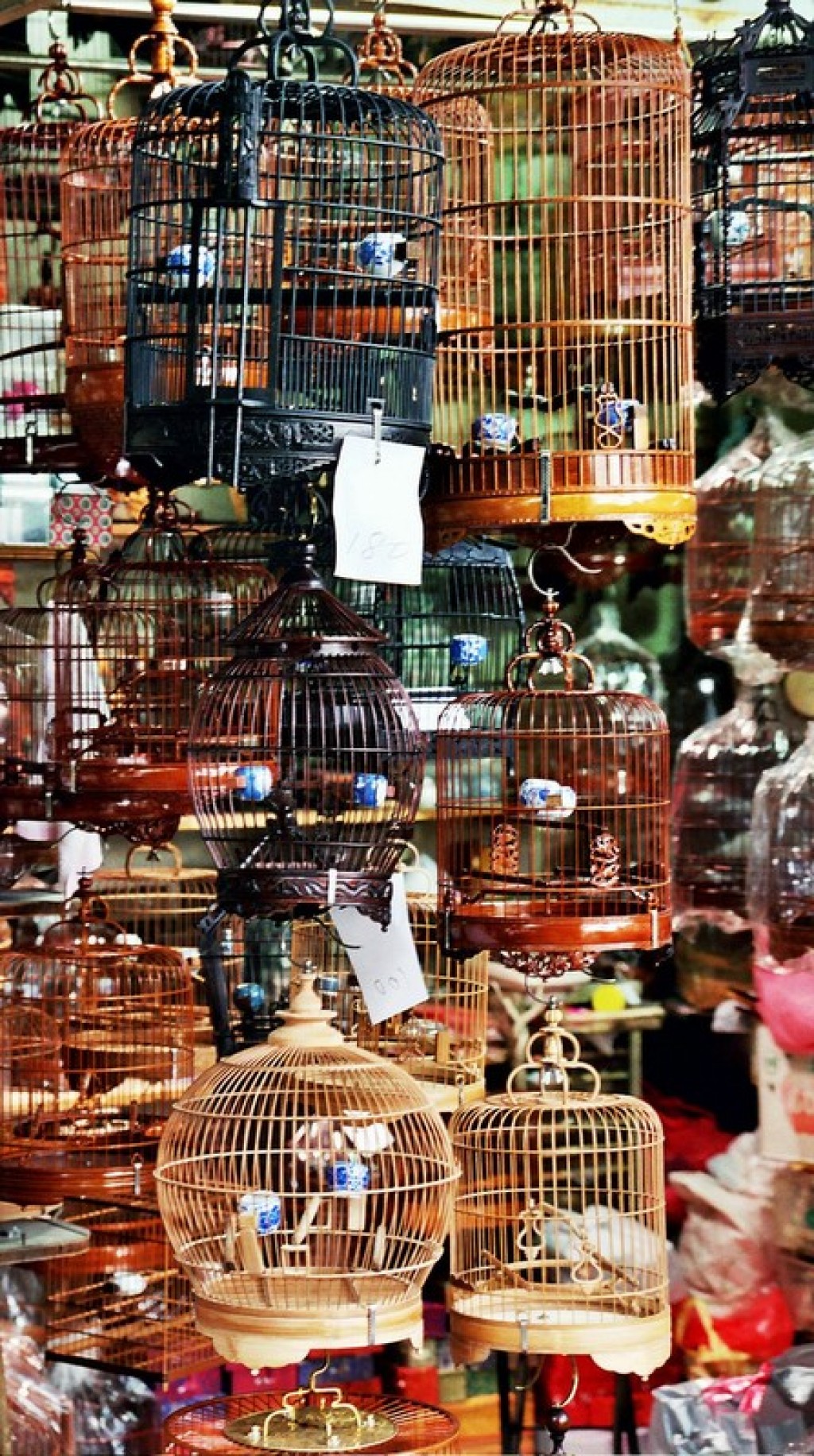 We bought a birdcage, and mailed it home from the fabulously well-organized main post office.   